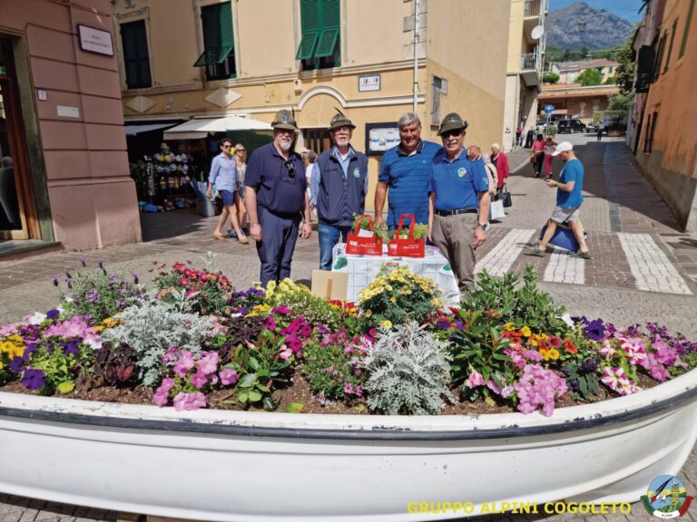 BENEFICENZA AROMATICA