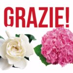 Grazie-Gardensia-2025-header-800x480_300dpi